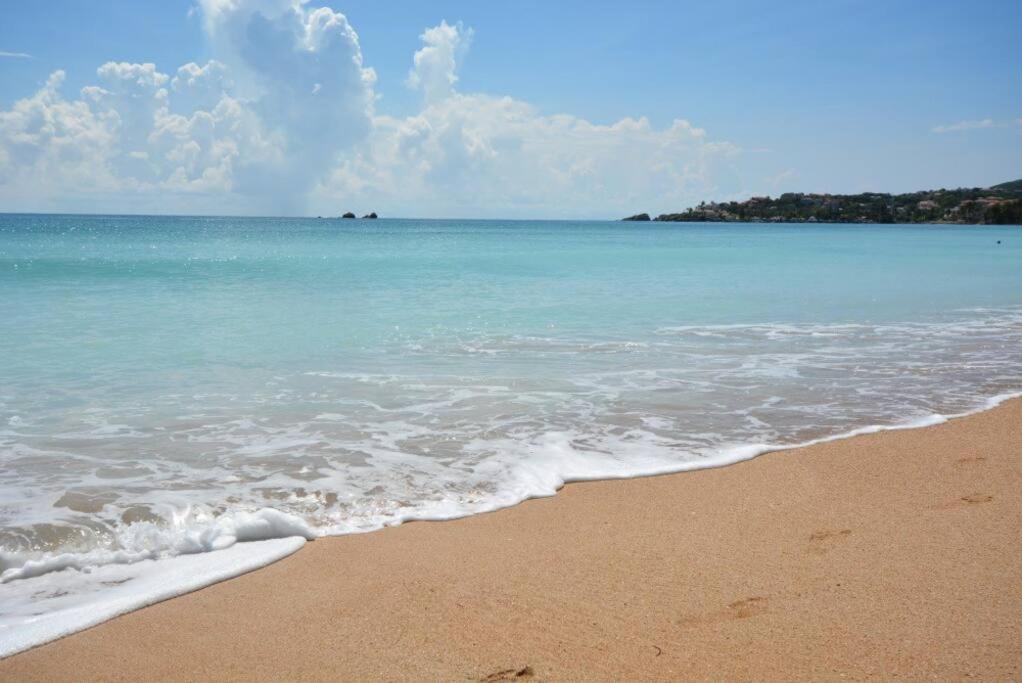 Beachfront Getaway For Two! ウマカオ エクステリア 写真