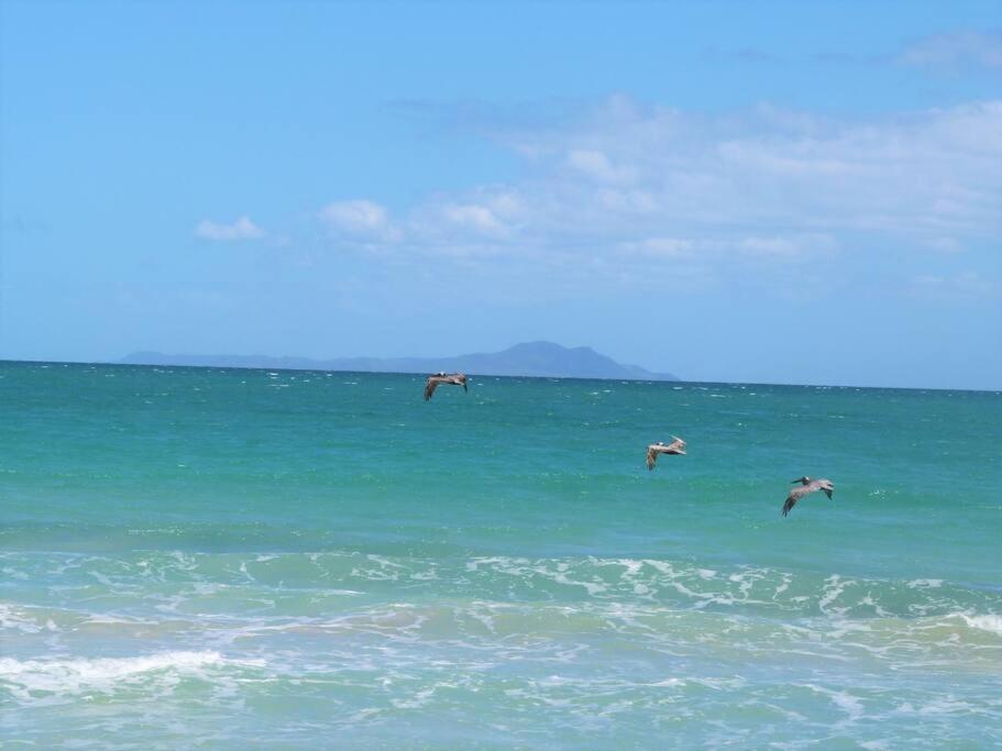 Beachfront Getaway For Two! ウマカオ エクステリア 写真